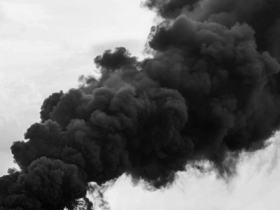 Lei de Crimes Ambientais: 6 principais e os impactos nas empresas 